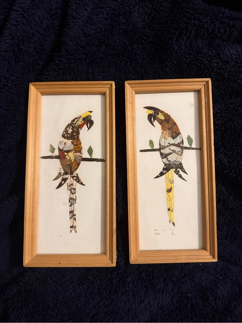 Source Unknown Parrot Butterfly Wing Collage Prints - Vintage, Multicolored